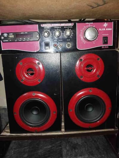 Imported speakers with amplifier