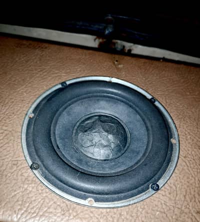 6 Inch woofer speaker