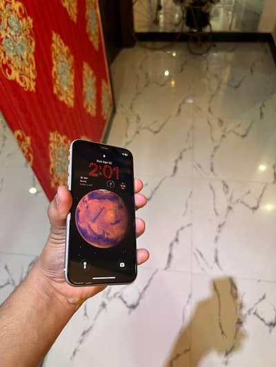 iphone 11 pta approved