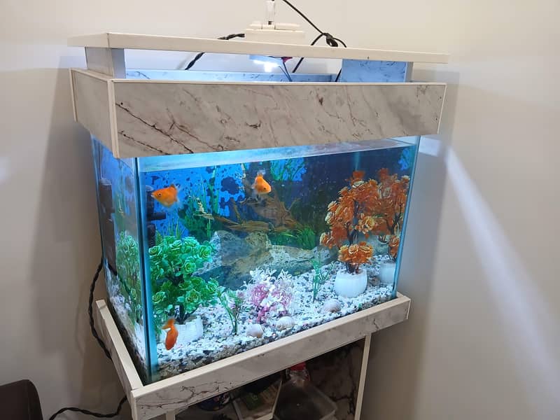 complete Aquarium setup 0