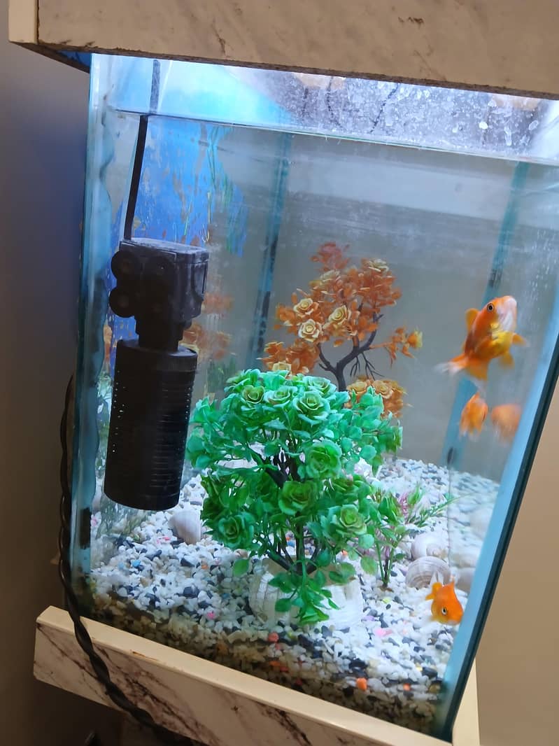 complete Aquarium setup 2