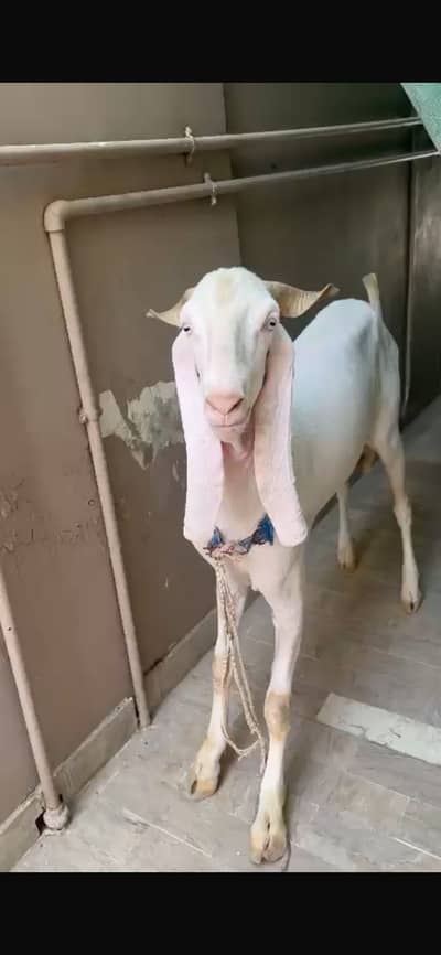 Only serious person contact.