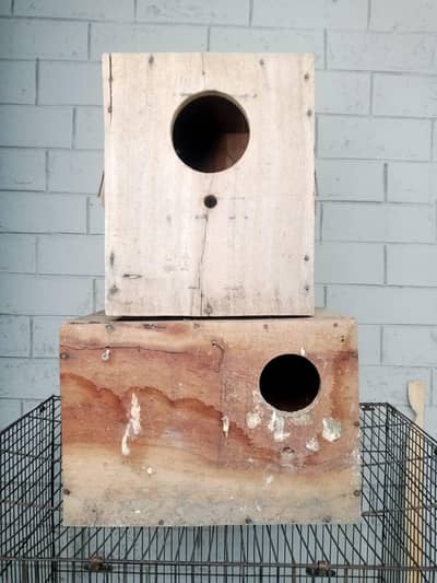 2 BREEDING BOX FOR SALE