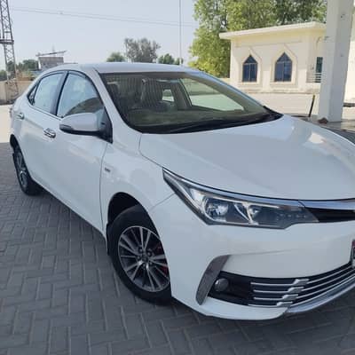 GLI 2019 super white