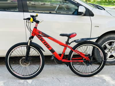 Skys 24 medium size bicycle