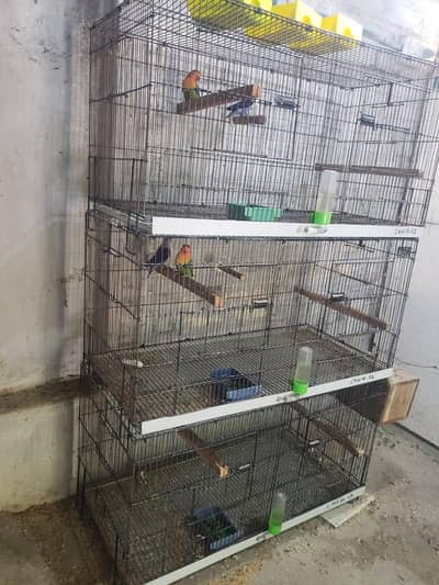 Bird Cages for sale in good condition