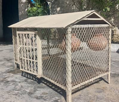 High Quality Birds cage for sale
