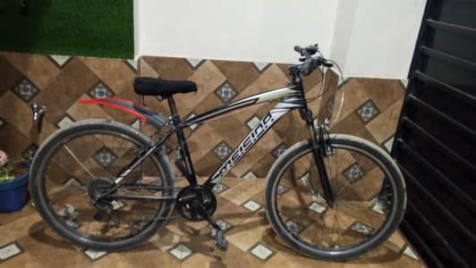 Morgan Mountain bike for sale