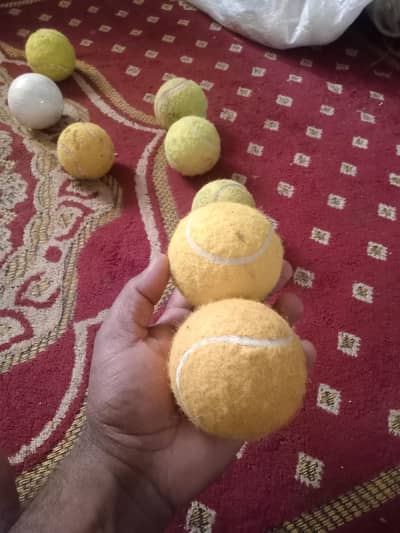40 boll for sell per head 80