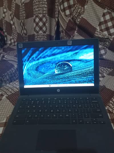 hp chrome book 2029 update