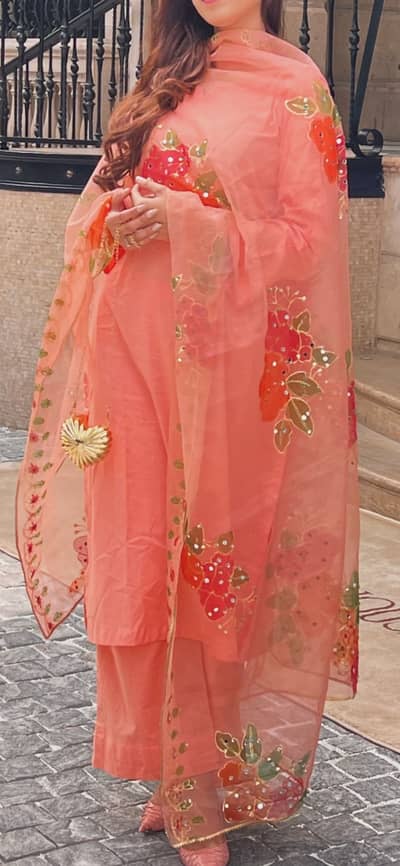 Organza Embroidered Dupatta (Light Peach) – Fancy & Elegant