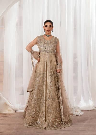 Net maxi party wear, wear just once