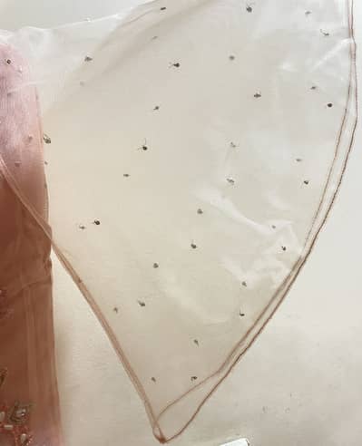 Minnie Minors Peach lehenga choli,8/9years,Net dupatta,Used