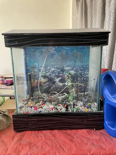 Fish Aquarium for sale