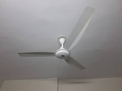 Celling Fans for sale