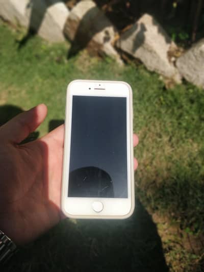 iPhone 7 (PTA Approved)