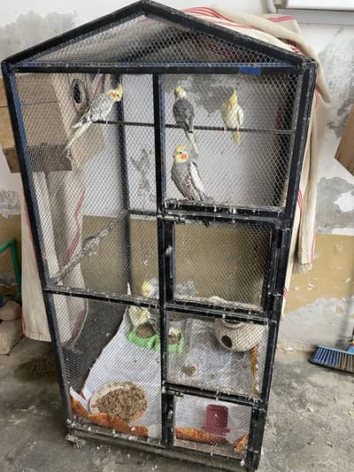 Birds Cage for Sale (Parrots, Cockatiels, Other Birds)