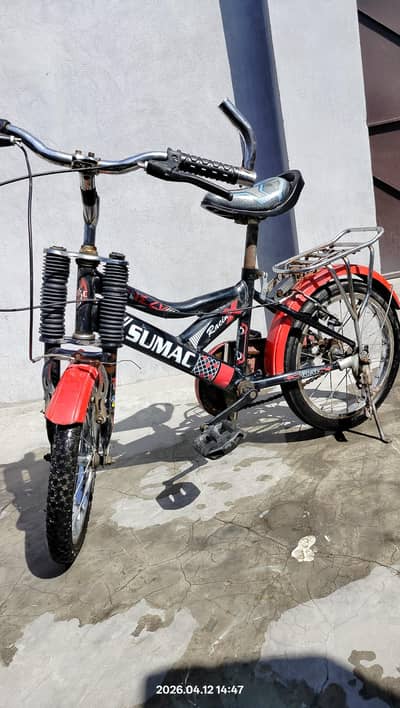 Sumac Imported Bicycle for Boys (Age 4 -11)