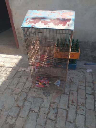 cage for sale