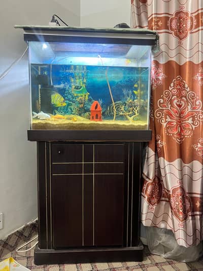 Fish Tank / Aquarium 2 Feet with Base & Acessories