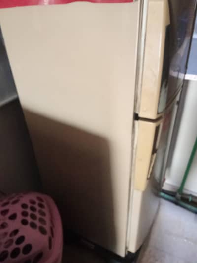 PEL Refrigerator for sale
