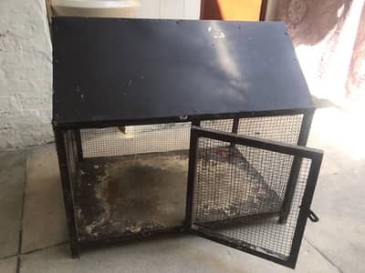 Hen cage Desi & Aseel