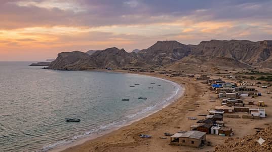 Picnic and Party Transport Service