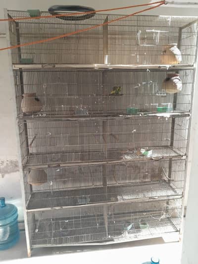 10 portion cage (pijra)