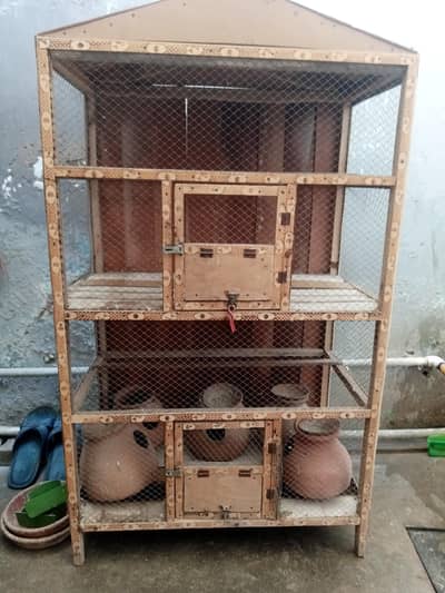 4 month used cage condition 10/8 for sell