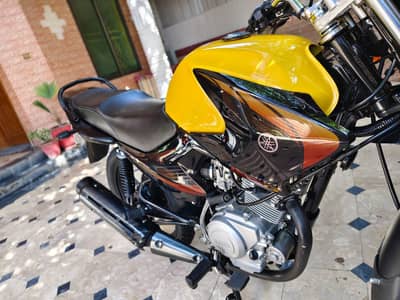 Yamaha YBR 125G 2025 Brand New
