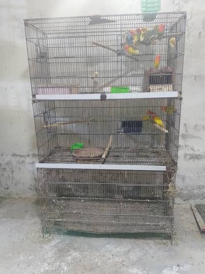 Green Opline PF, Parblue Opline/PF, used Cages