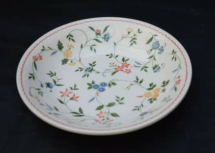 6-6 rice and salan plates