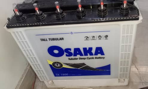 Tall Tubular Battery