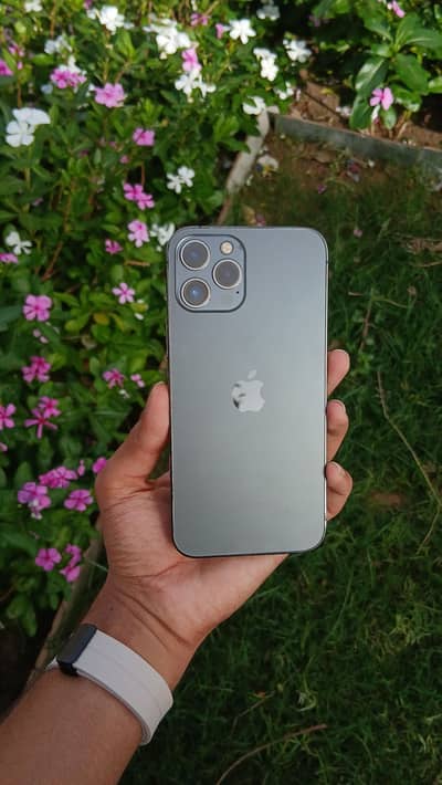 iPhone 12 Pro Max. 256GB - Factory Unlocked