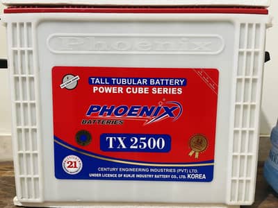 Phoenix TX 2500 Tall Tubular Battery (12V 230Ah) – Excellent Condition
