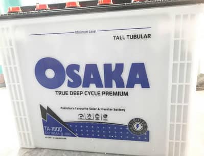 Tall Tubular Battery