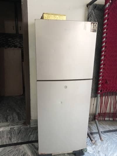 Hair refrigerator freezer fridge