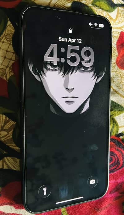 Watsapp number 03169728274