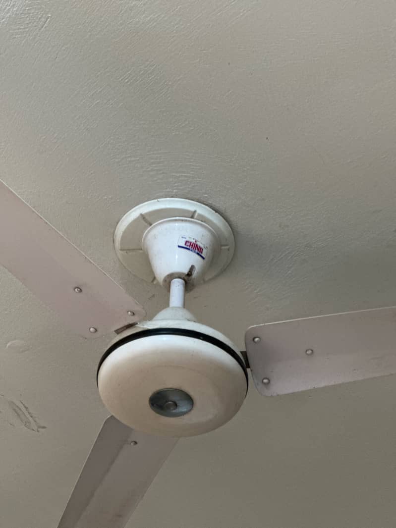 Ceiling Fan 1