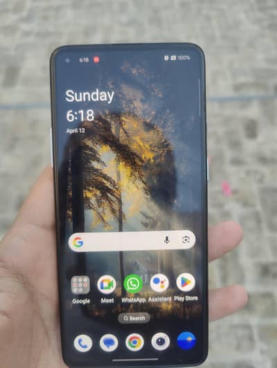 oneplus 8T 12GB 256GB