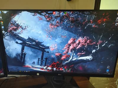 LG 27in 4K monitor