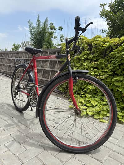 Phoenix Original bicycle with 18 speeds