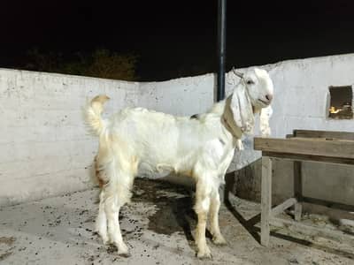 only interested person come Dm