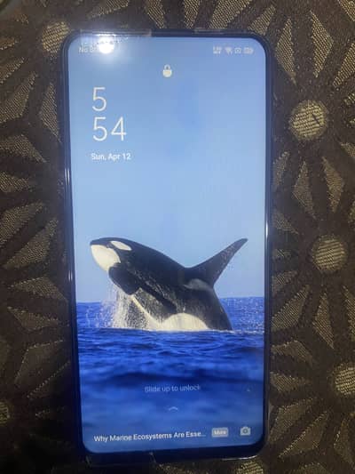 Oppo f 11 back break