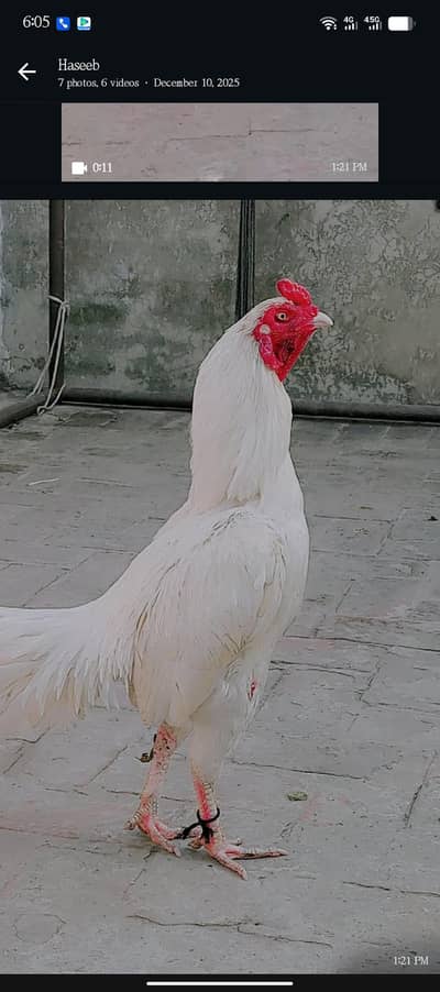 heera