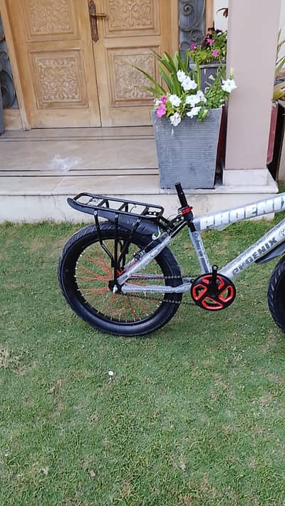 New cycle with torch and bell