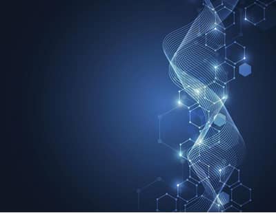 Customer service executive