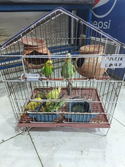 astliyan toty 7 hai or aik bacha or 3 andy