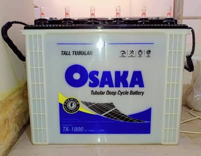 Tall Tubular Battery