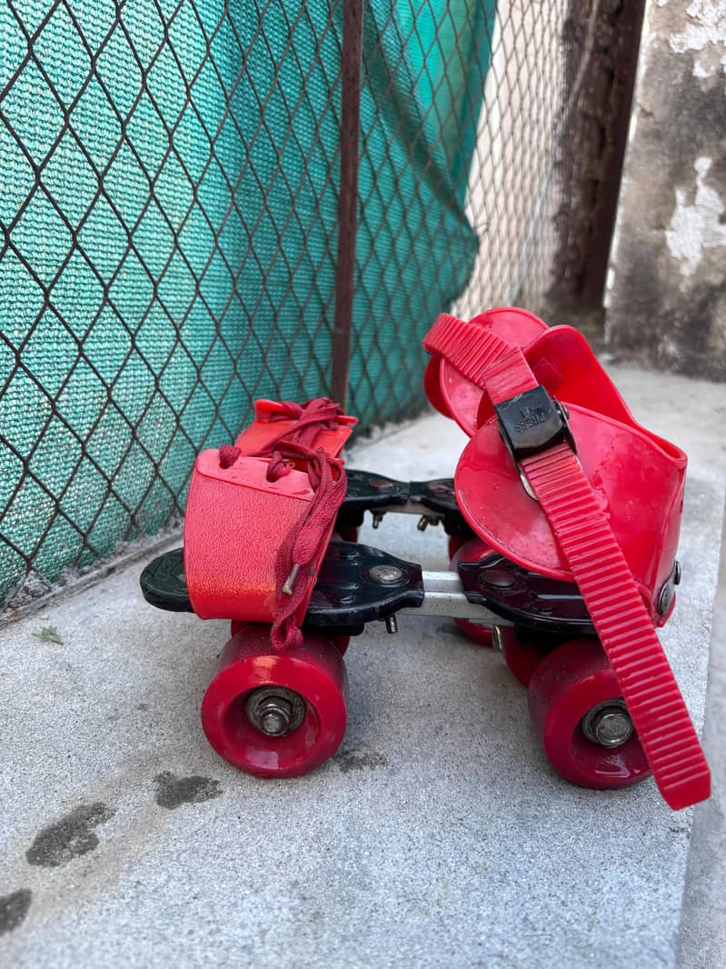 Adjustable Skates 0